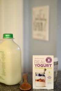 Yogurt ingredients