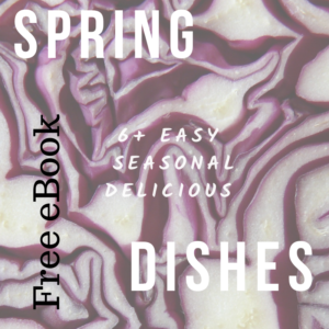 eBook Spring Dishes