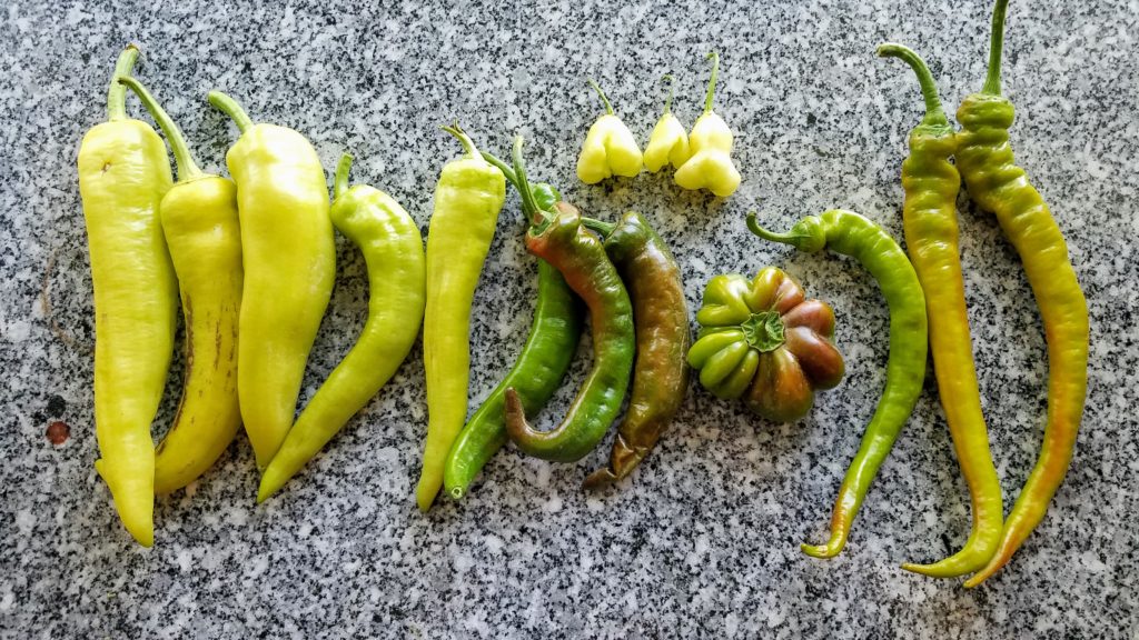 peppers