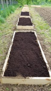 raised potato beds