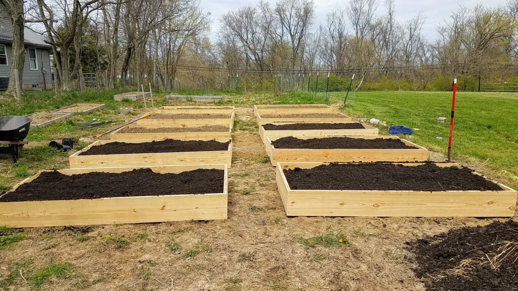 spring planting raised beds