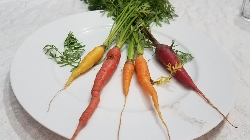 Fall Garden Carrots